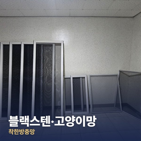 성북구 블랙스텐·고양이망