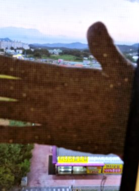 성북구 월곡동 방충망 교체 시공 사진 2